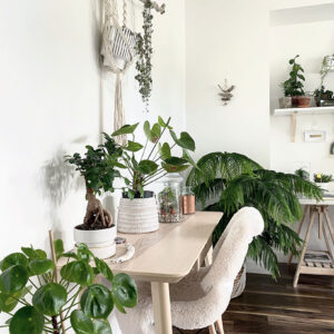 Custom Interior Plant Design