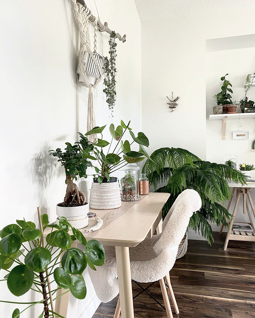 Custom Interior Plant Design - My Tasteful Space